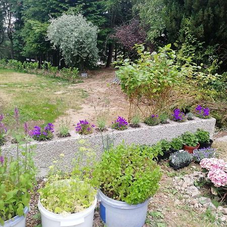 Robinhill Garden Otel Forres Dış mekan fotoğraf